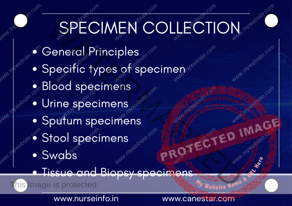 ﻿ How to Collect Specimen and Testing Method – Nurses Guide