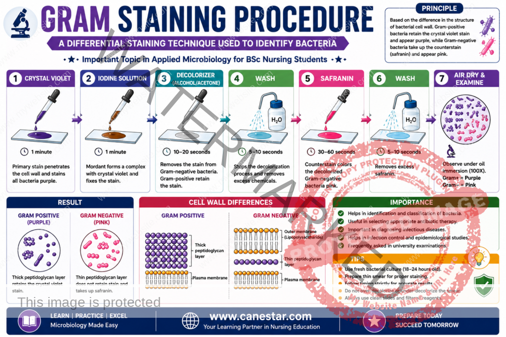 gram staining procedeure notes for bsc nursing students exam pdf
