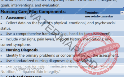 Nursing Care Plan Components