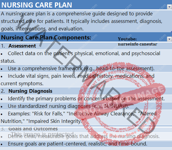 Nursing Care Plan Components