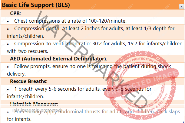 basic life support (BLS) 