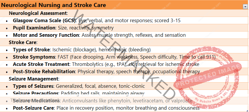 Neurological Nursing and Stroke Care
