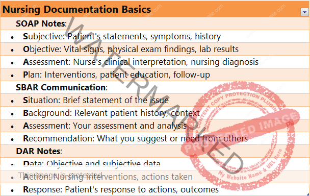 Nursing Documentation Basics