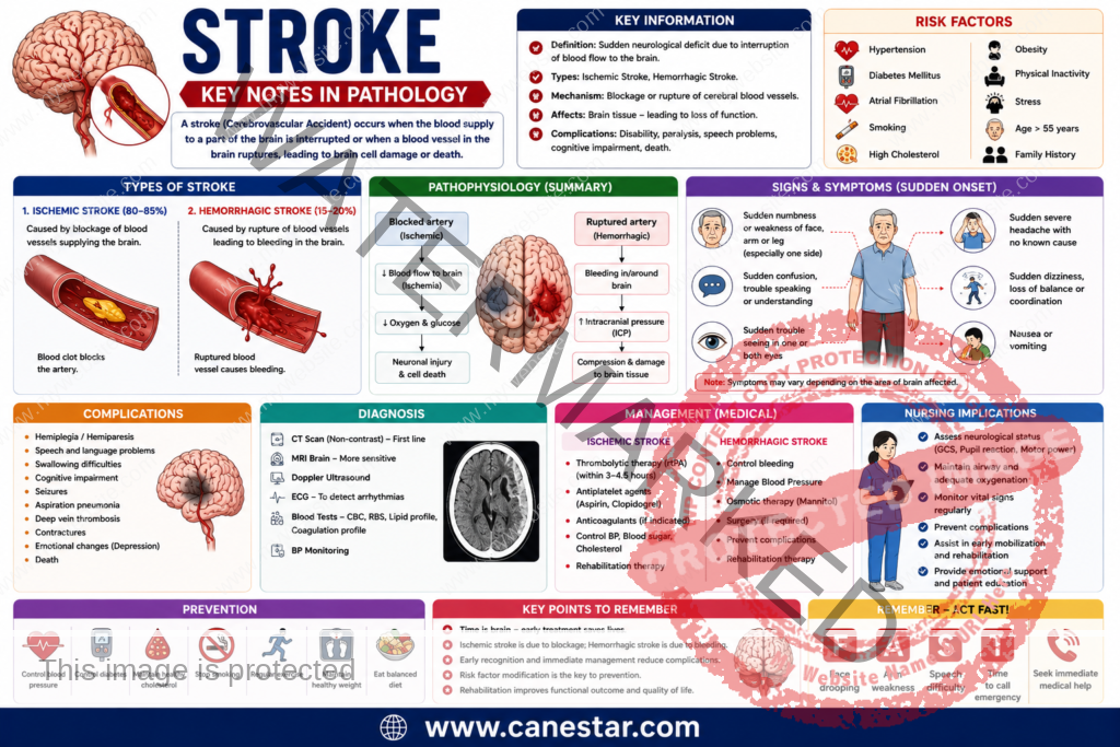 stroke key notes in pathology pdf