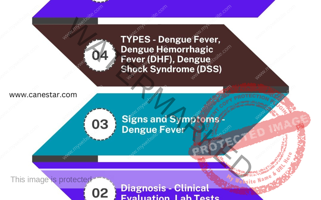 Dengue Symptoms