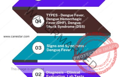 Dengue Symptoms