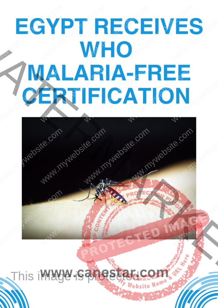 Egypt Receives WHO Malaria-Free Certification 